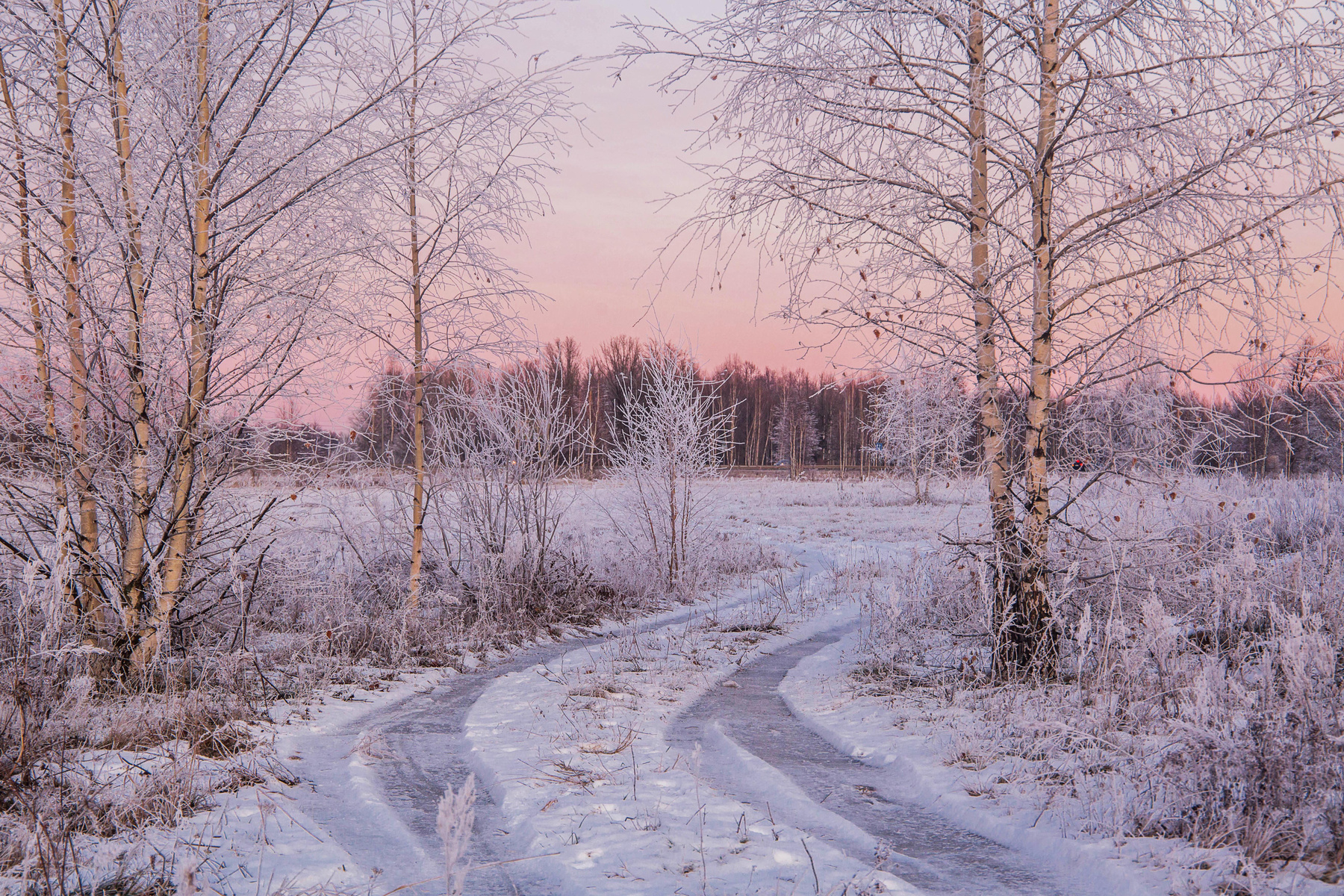 *** природа пейзаж зима вечер закат новопольский