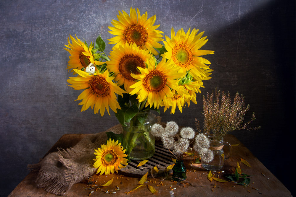 Солнечные цветы Лето натюрморт с подсолнухами одуванчик цветы букет подсолнух солнце