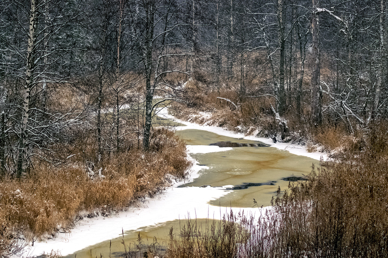 река Номжа номжа река природа пейзаж вид вода осень ноябрь метель снег