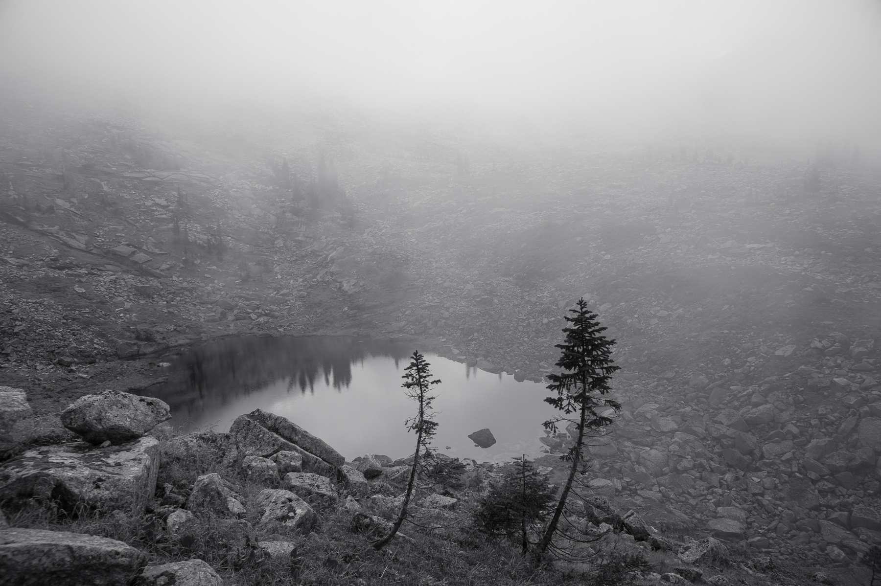 Быть ёжиком в тумане чб осень деревья туман облако озеро камни горы сибирь вода