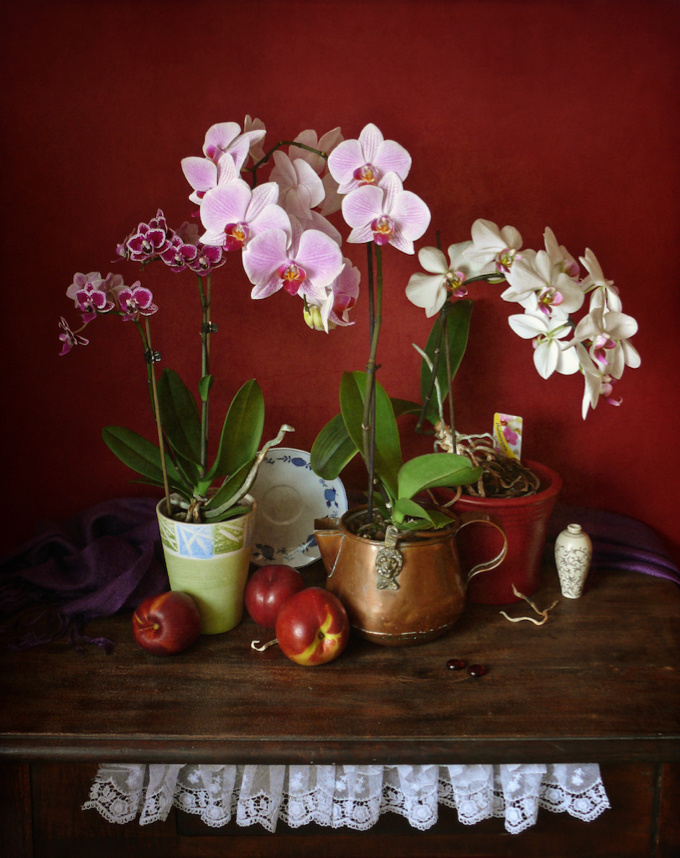 Три грации натюрморт с орхидеями орхидеи красный