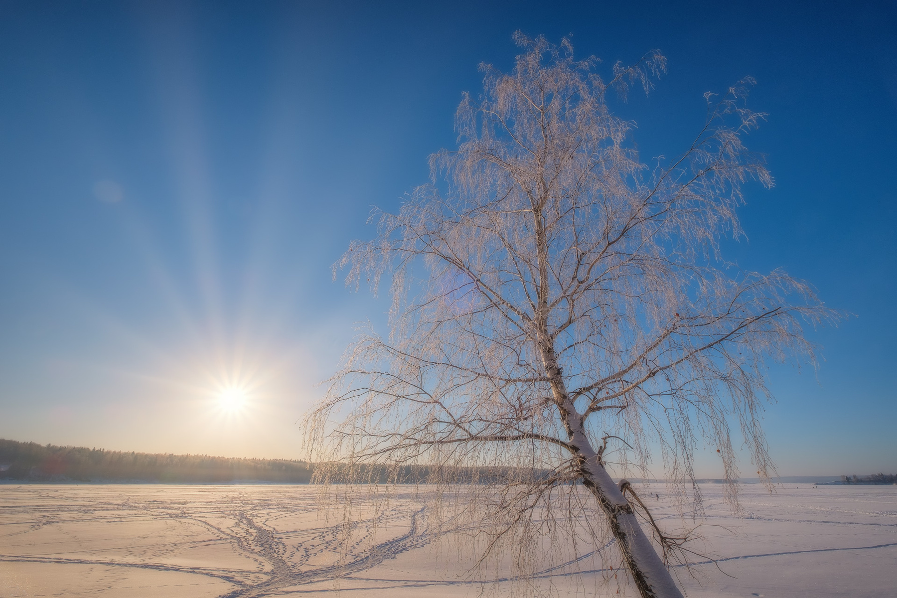 Мороз и солнце урал зима река лед снег деревья рассвет утро береза рыбаки солнце лучи