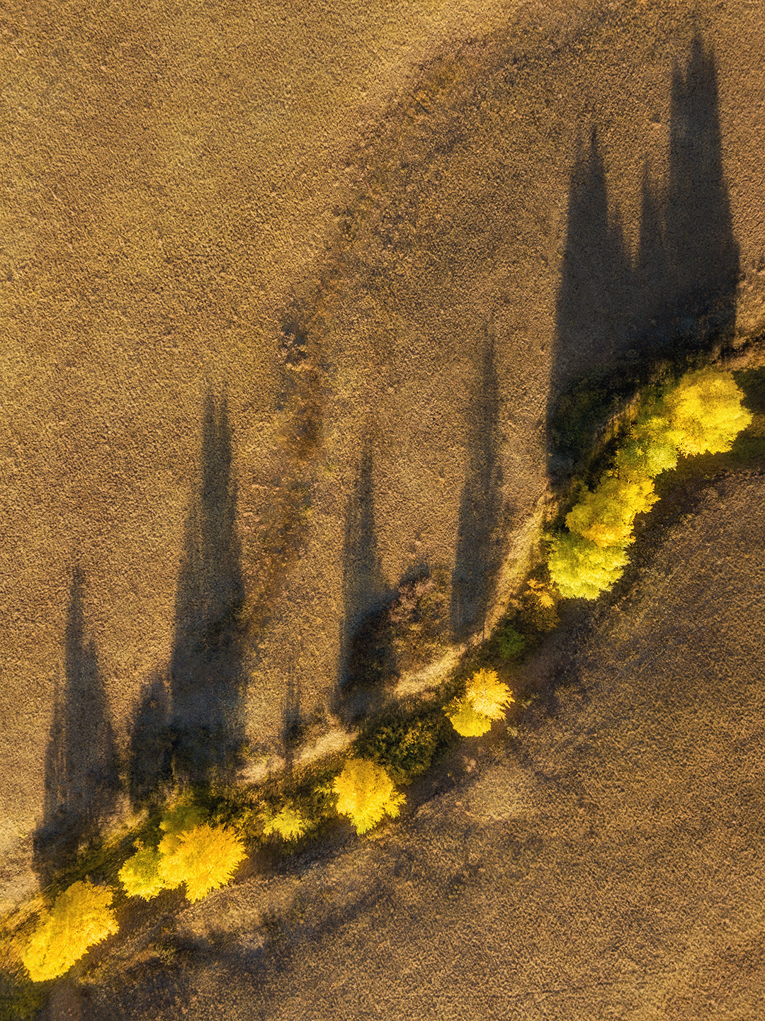 Осенняя линия екатеринбург урал фототур яковлевфототур василийяковлев долгие горы