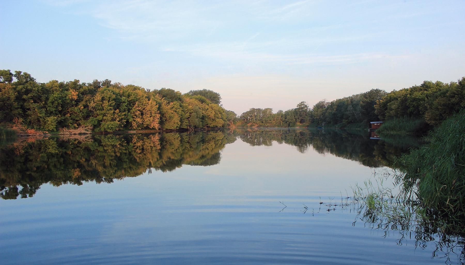 Утро на реке утро тишь сентябрь Саратовская область река природа Пейзаж осень Большой Иргиз благодать