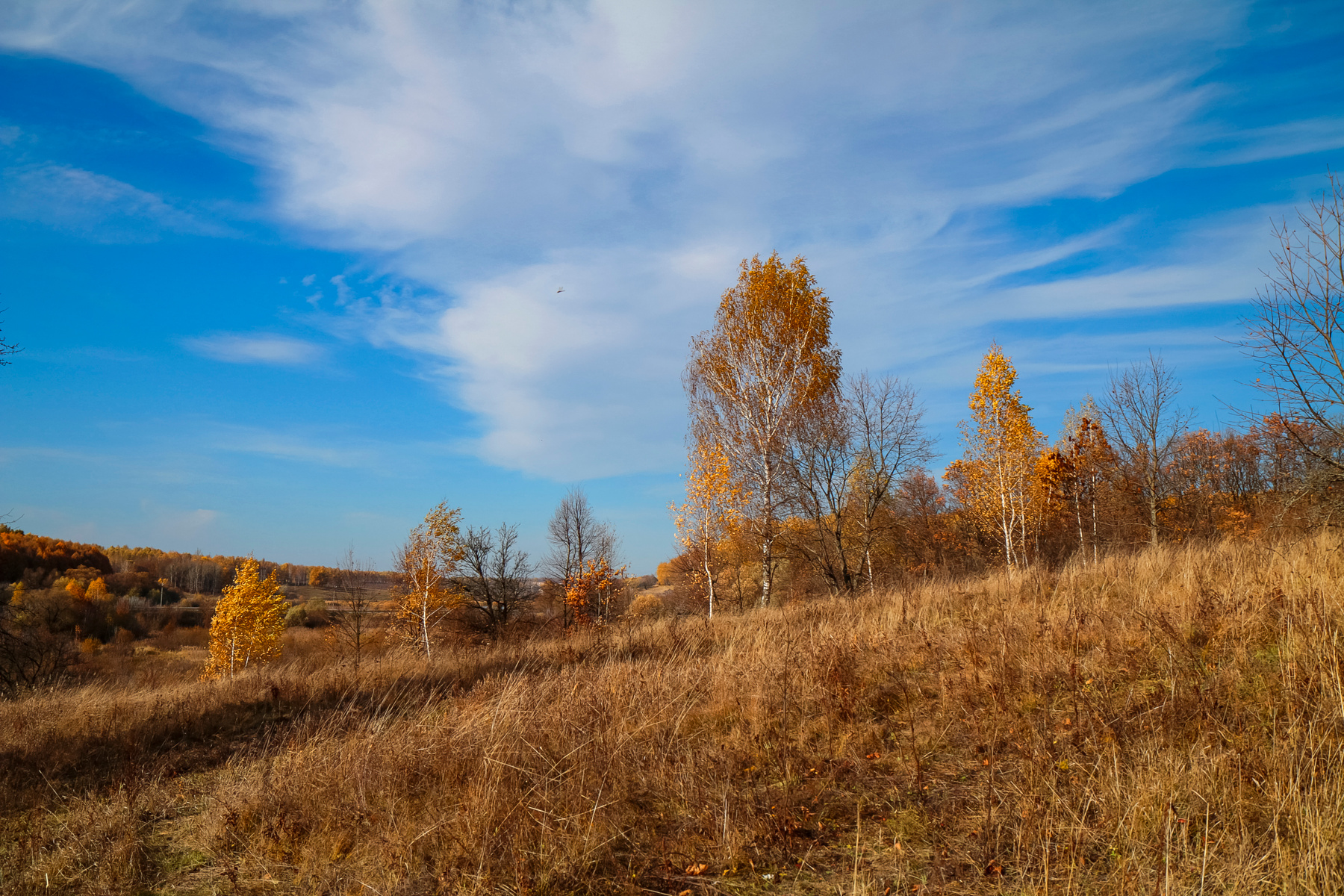 Пригорки саратовская область