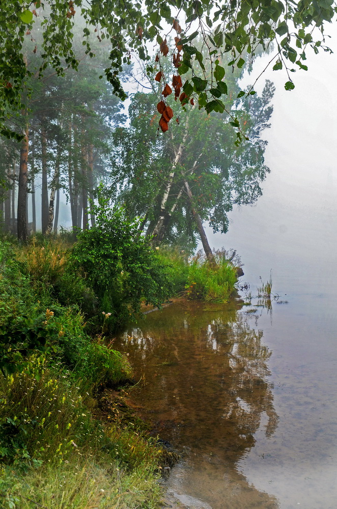 Утро на речке. утро река туман лесок лето красота природа