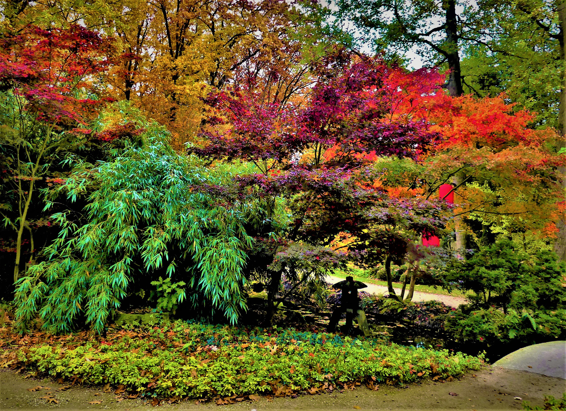 Осенний лист багрово-красный, и лес вдали виднеется прекрасный-от буйства красок пьяная земля... Путешествия природа осень