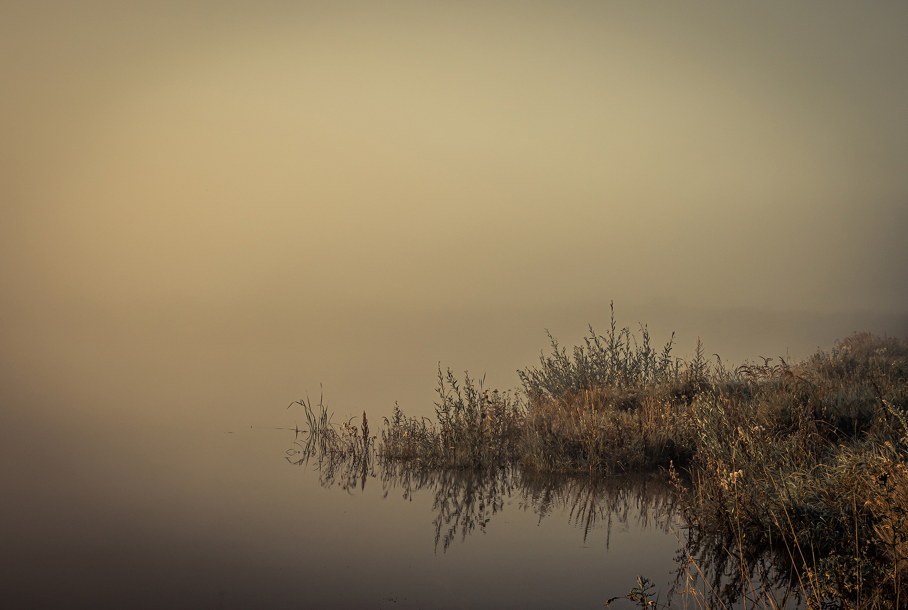 Утро туманное Утро река туман берег
