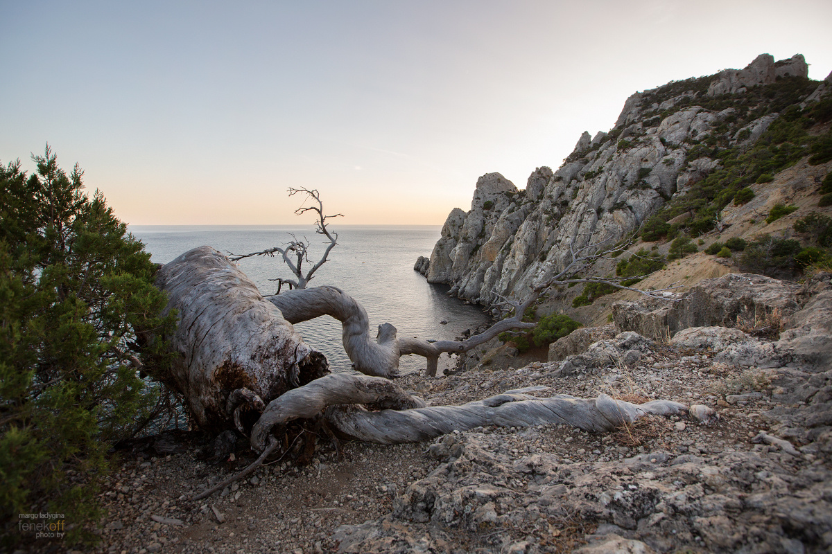 Новый Свет Новый Свет Крым природа вечер мыс Черное море Тропа Голицына Novyi Svet Crimea sea Black Sea cape evening