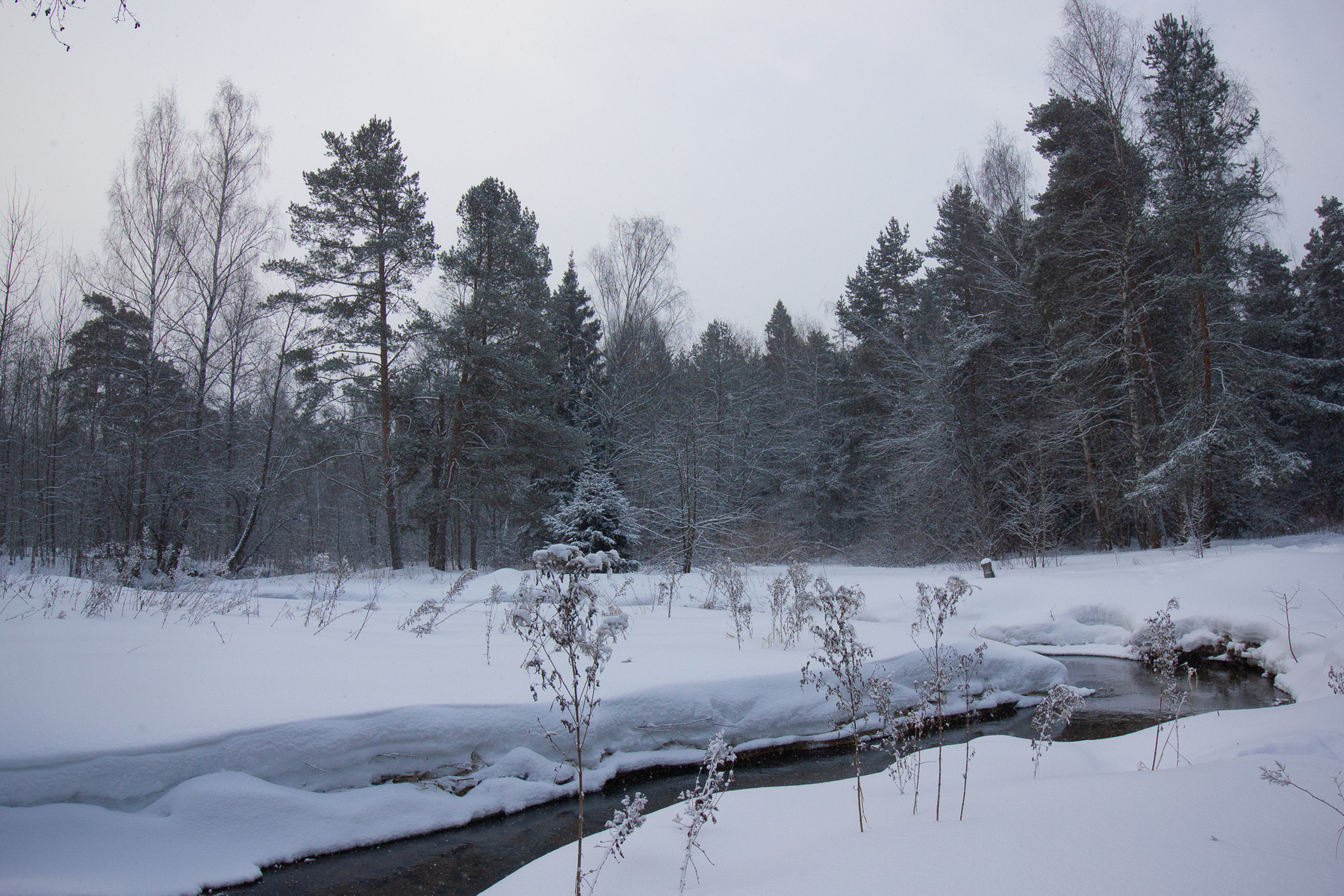 Серебрянный лес лес зима река снег