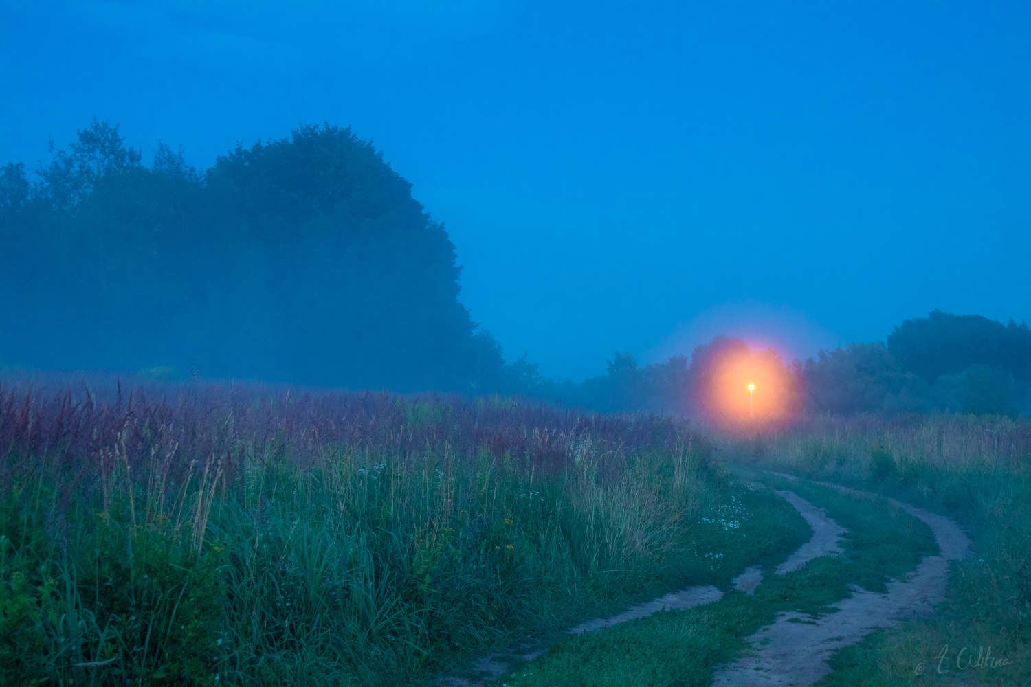 Вечер... поле... туман и фонарь... 
