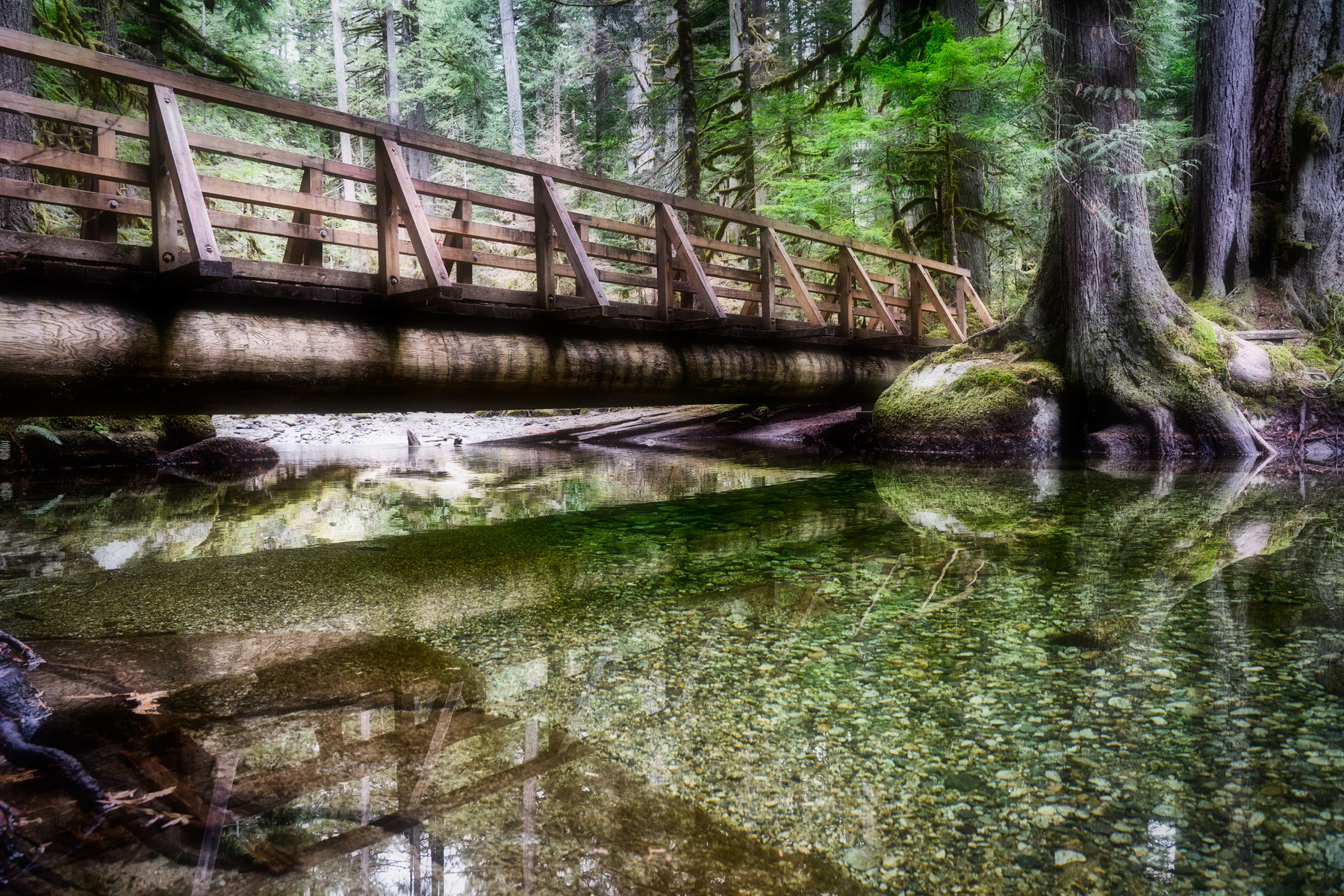 Мост в лесу мост деревянный старый лес ручей река природа осень