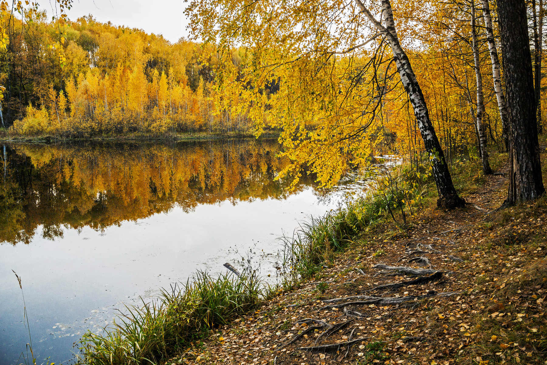 *** природа пейзаж осень татарстан залесный озеро светлое