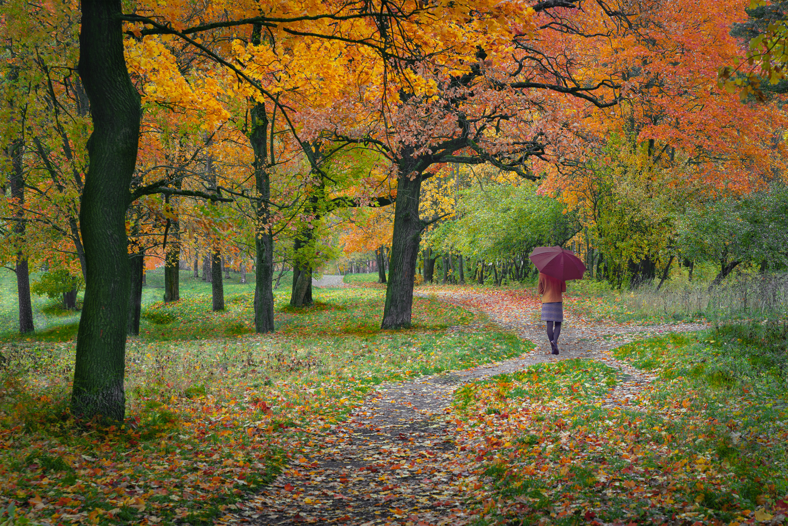 Гатчина. Осень.(1) гатчина осень пейзаж парк тропа девушка