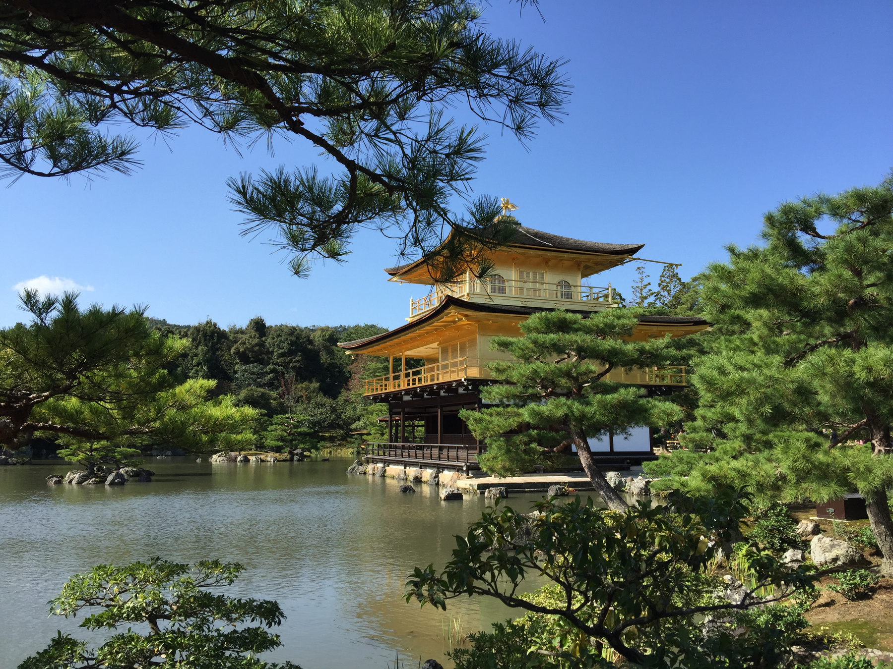 Золотой дворец Путешествия Япония дворец природа