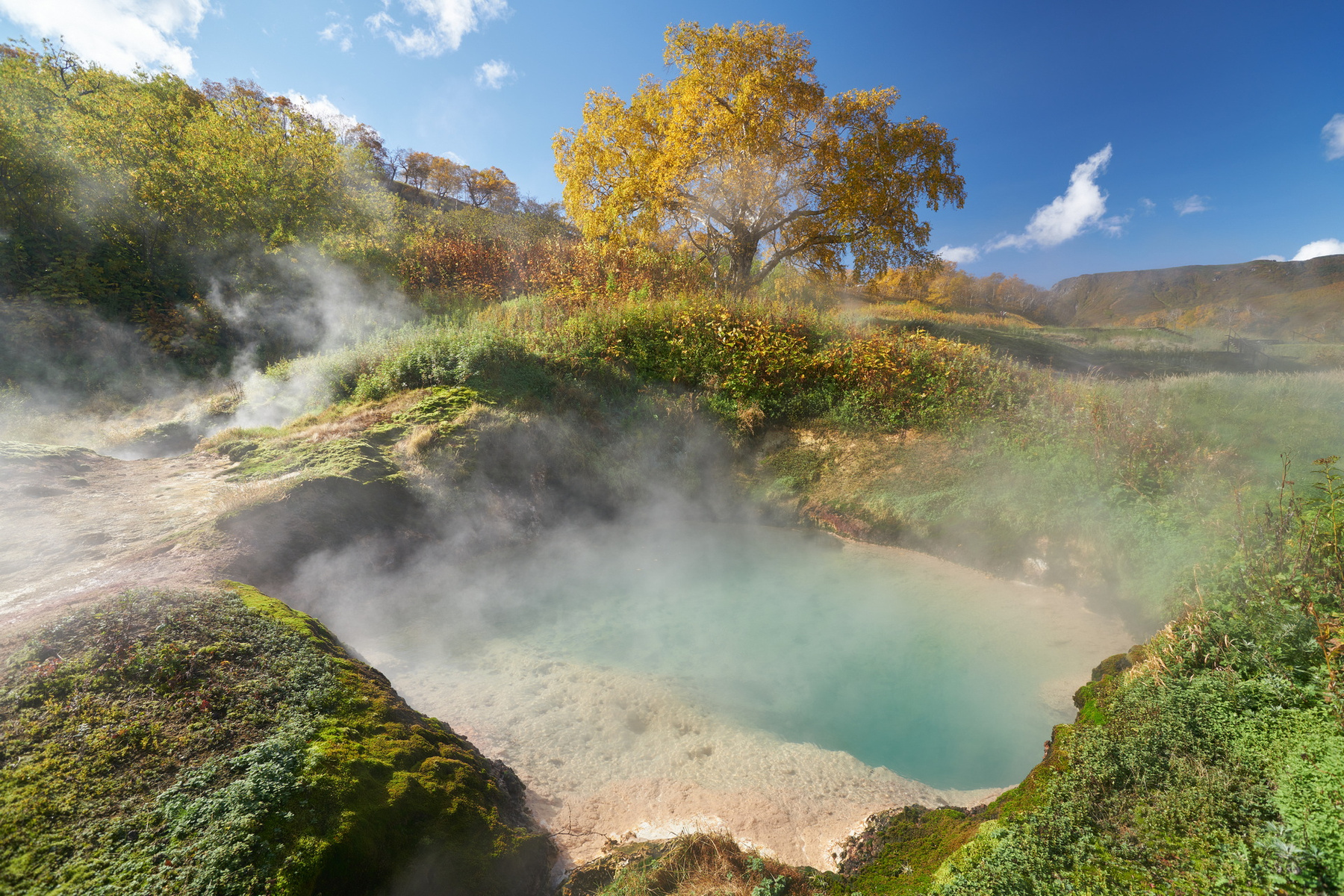 Фотография Каменная берёза (Эрмана) и водный котёл Голубой из раздела  пейзаж #7106054 - фото.сайт - sight.photo