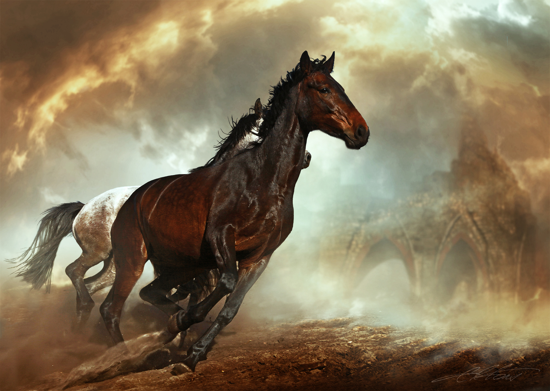 Running Wild Digital Photo Art Horses Eltons Fantasies