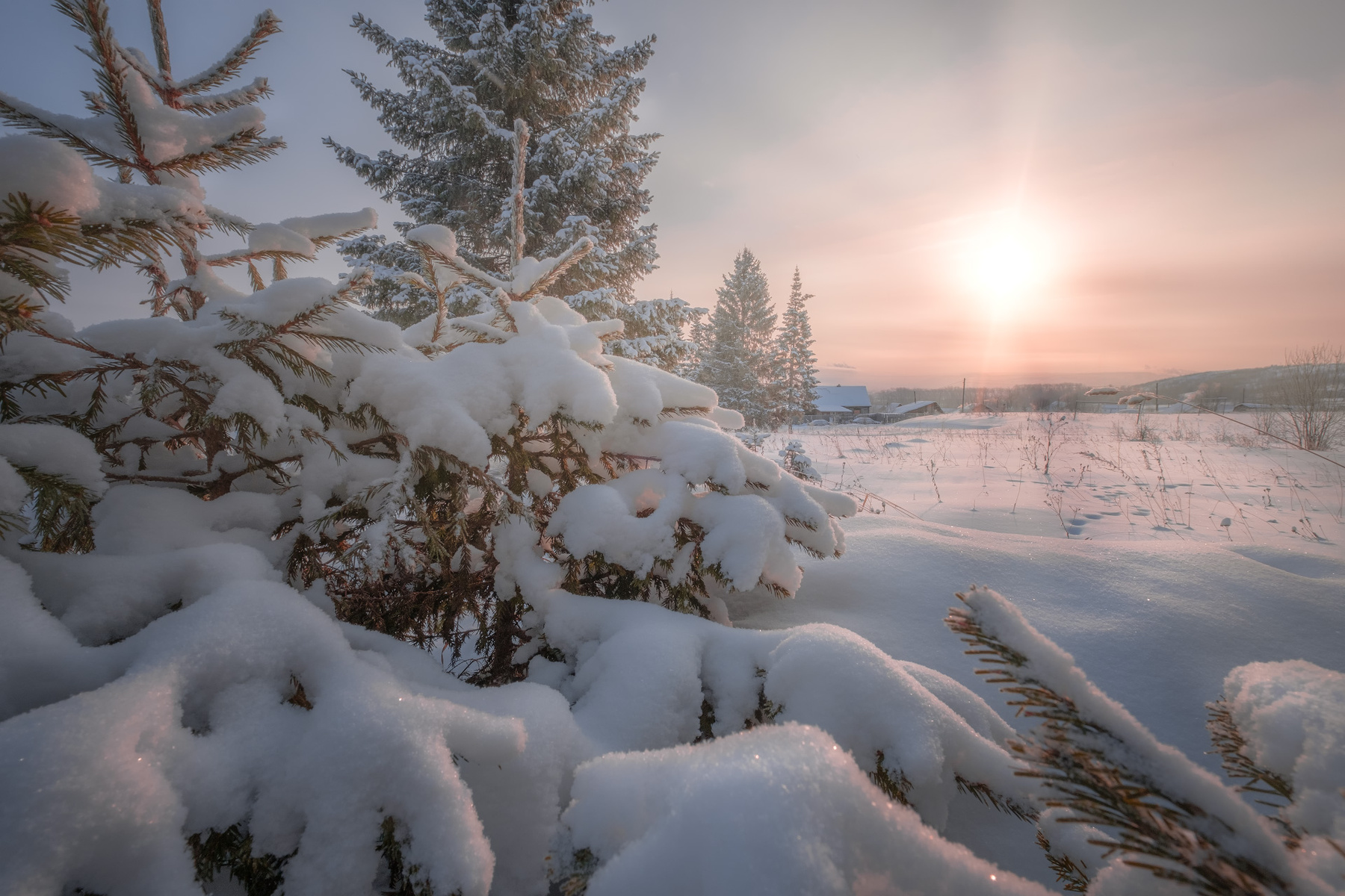 Морозное чусовой пермский край зима мороз февраль солнце рассвет утро ели деревья городок