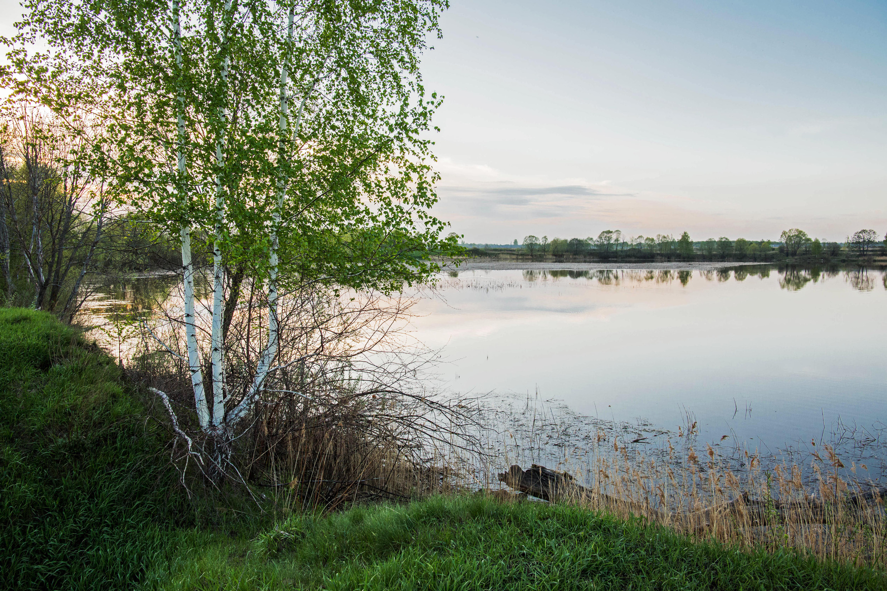 *** природа пейзаж весна река казанка татарстан вечер