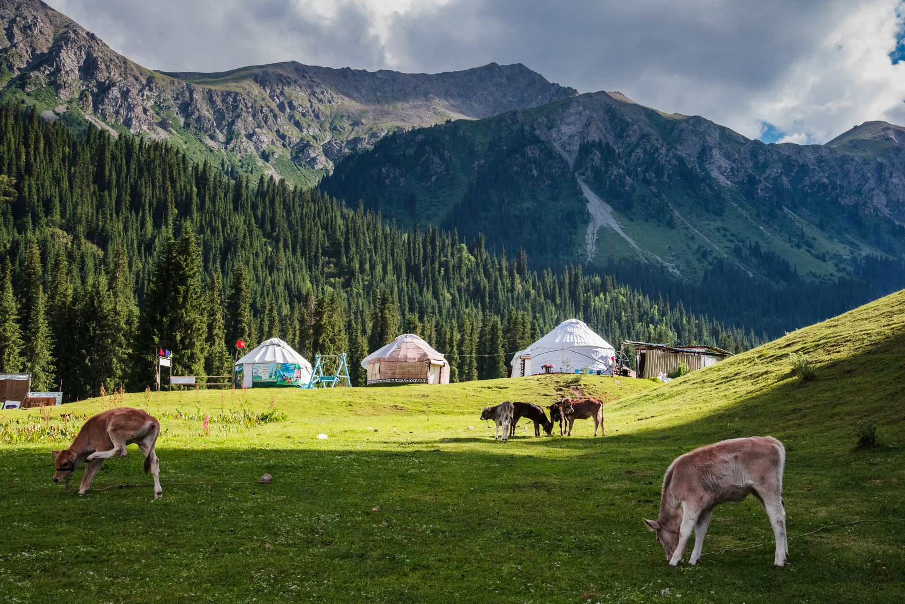 Киргизия пейзаж киргизия горы