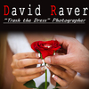 David Raver